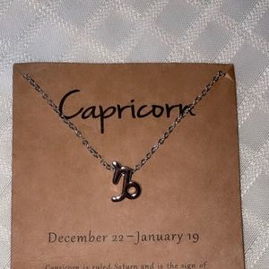Capricorn Zodiac Necklace